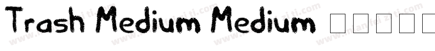 Trash Medium Medium字体转换